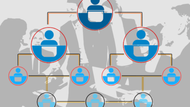 funciones del administrador de una empresa