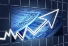 Cómo se divide la economía