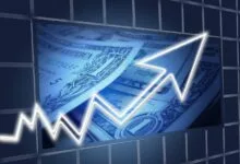 Cómo se divide la economía