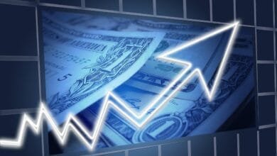 Cómo se divide la economía