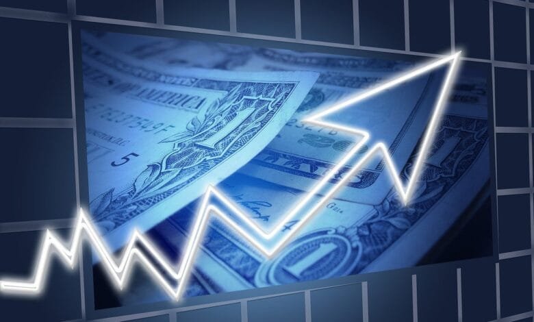 Cómo se divide la economía