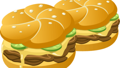 plan de negocios para un negocio de hamburguesas