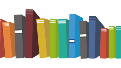 manual de procedimientos y funciones